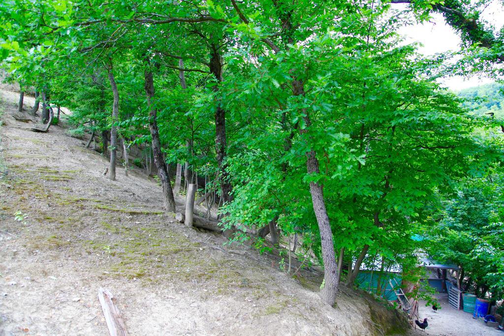 Agriturismo Biologico Villa Rosa Monte Guiduccio Ngoại thất bức ảnh