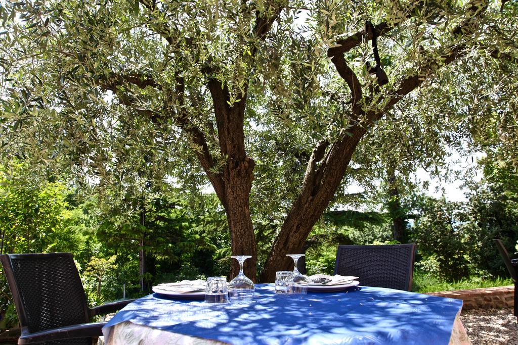 Agriturismo Biologico Villa Rosa Monte Guiduccio Ngoại thất bức ảnh