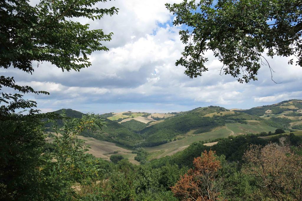 Agriturismo Biologico Villa Rosa Monte Guiduccio Ngoại thất bức ảnh